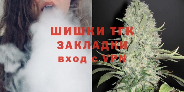 прущий лед Новозыбков