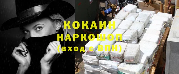 прущий лед Новозыбков